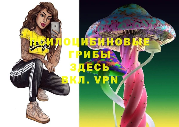 герыч Алексеевка