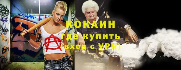 бошки Алексин